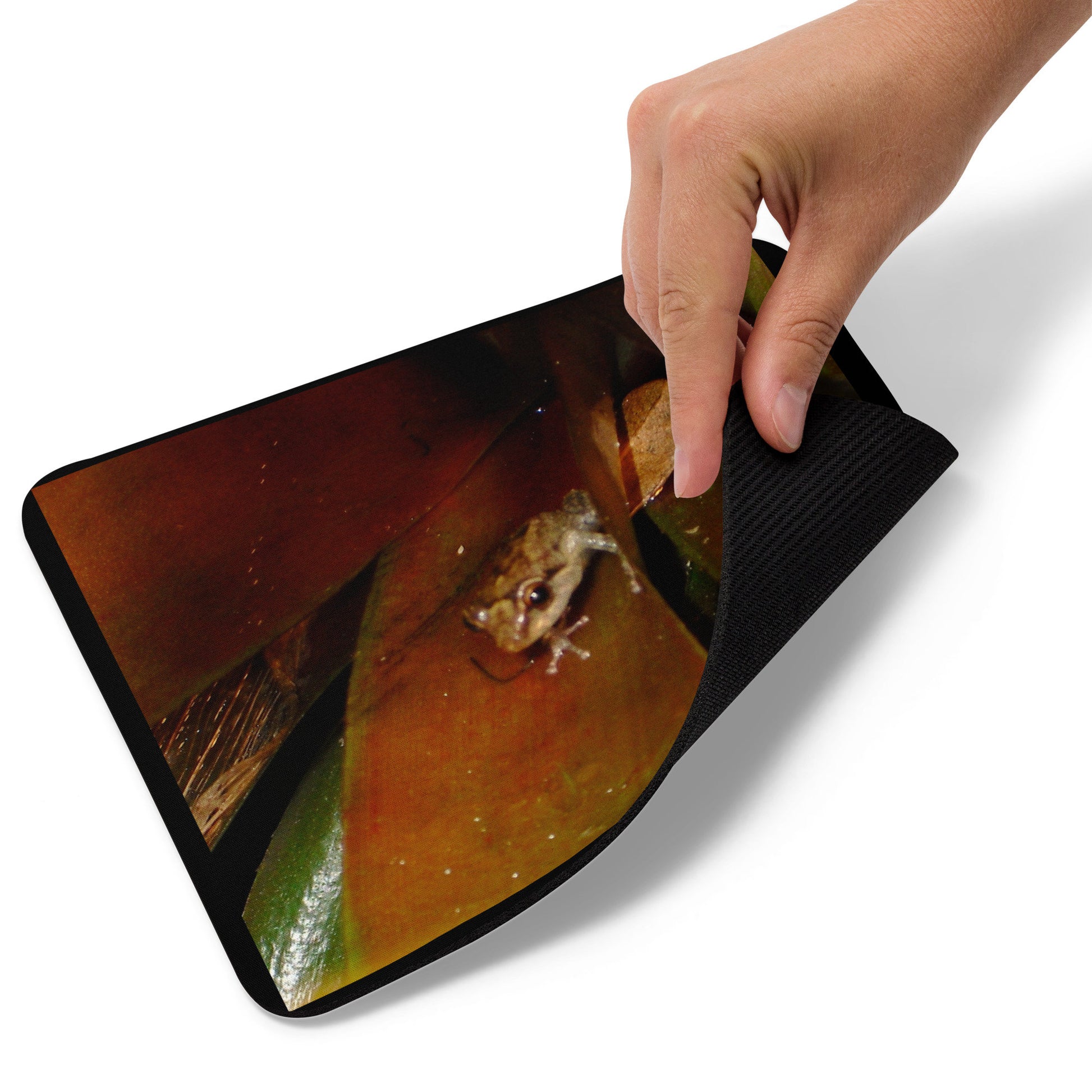 Mouse pad - Coqui Frog 1