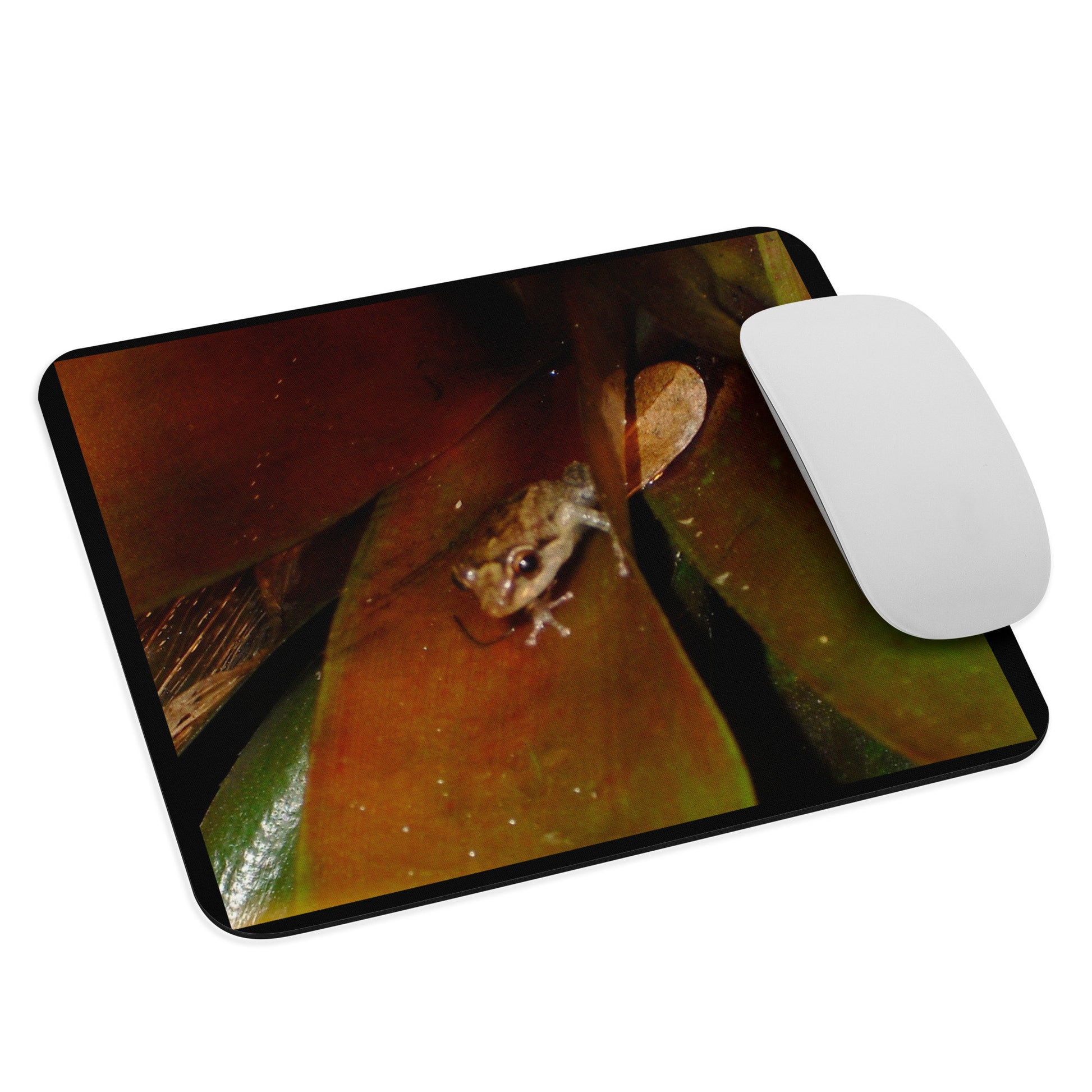 Mouse pad - Coqui Frog 1