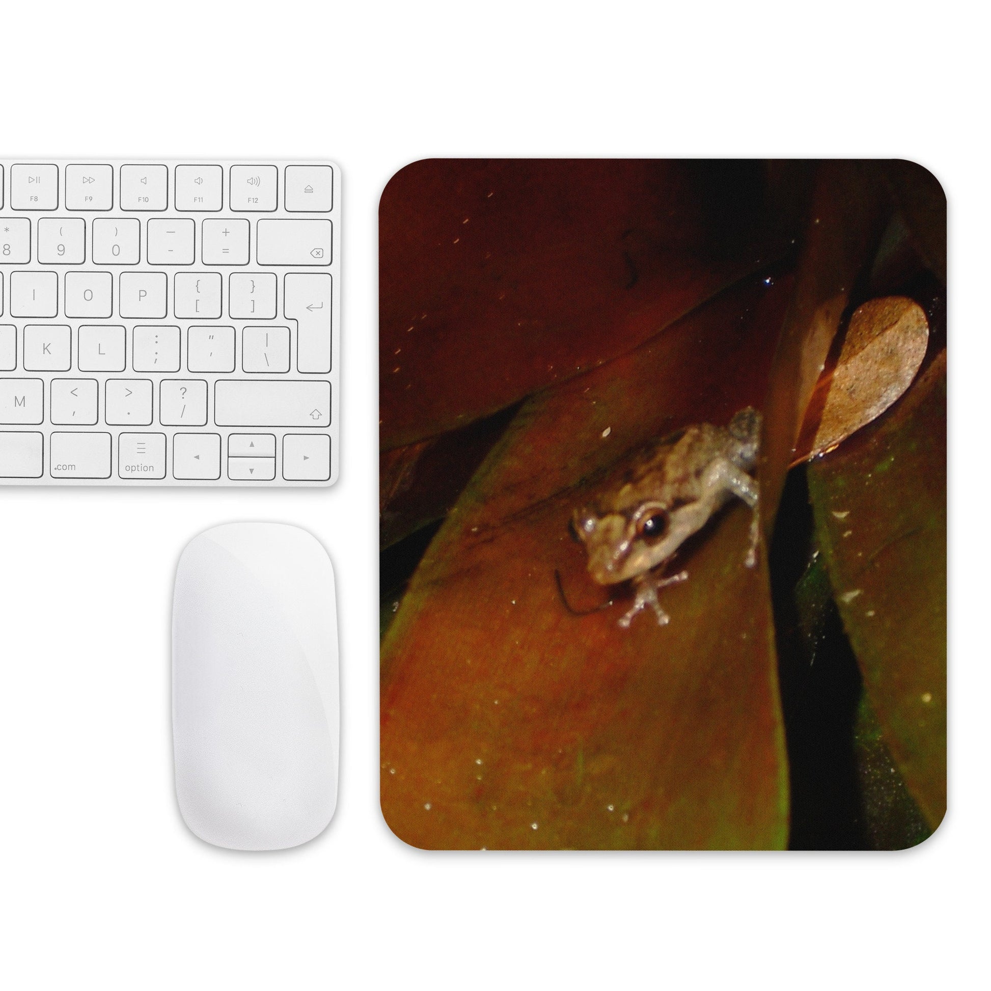 Mouse pad-Coqui Frog