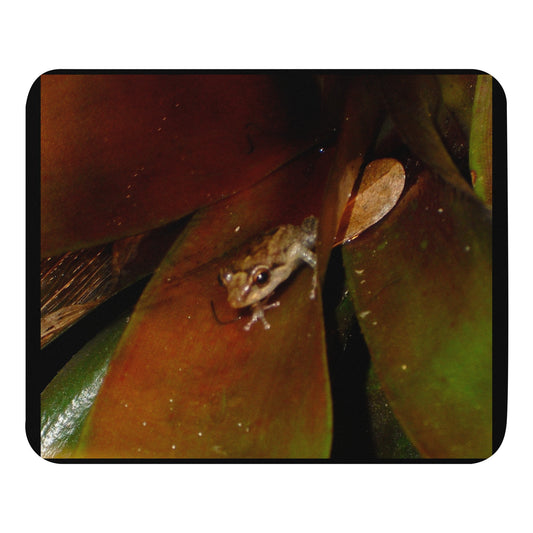 Mouse pad - Coqui Frog 1