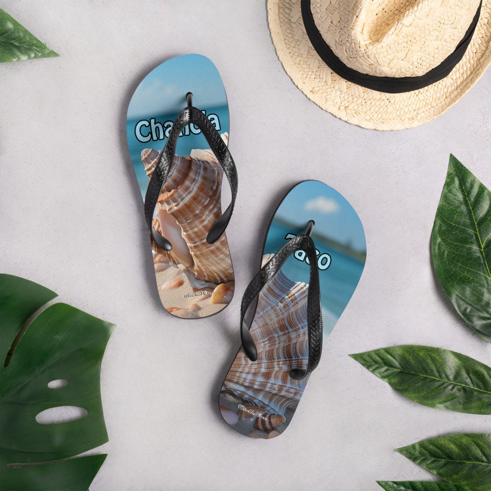 Flip-Flops Beach with Sea shells - Con Chancla Taso 4